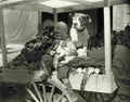 Our Gang 30S film star poster A4 Photo Print