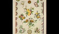 Owen Jones chinese ornament no 1 conventional renderings of fruit and Art A4 Photo Print