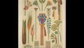 Owen Jones egyptian no 1 Art A4 Photo Print