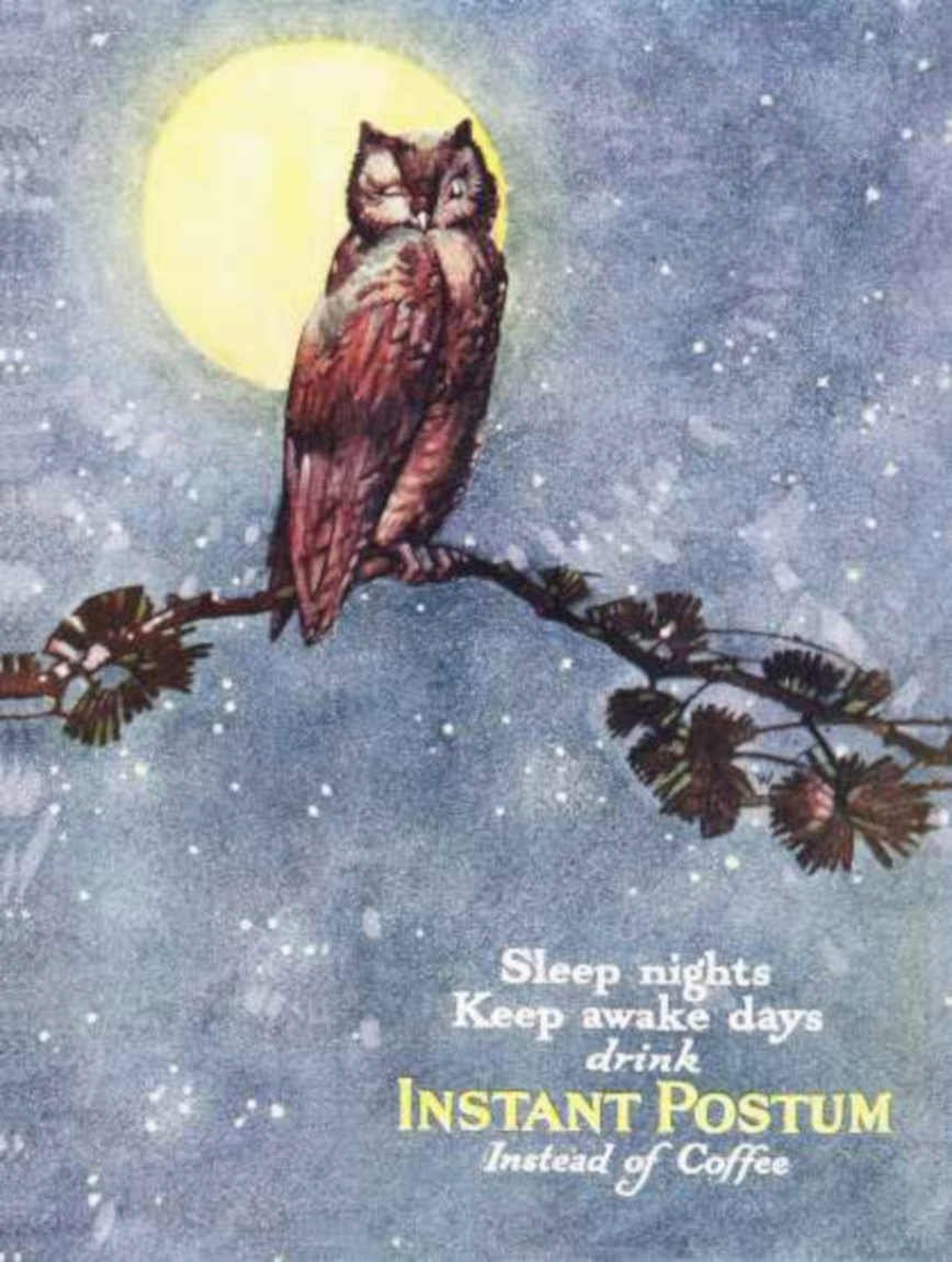 Owl Moon Postum Vintage Retro Advert Ads A4 Photo Print