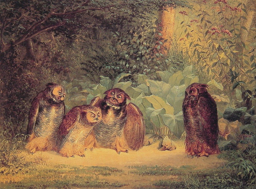 Owls Art A4 Photo Print