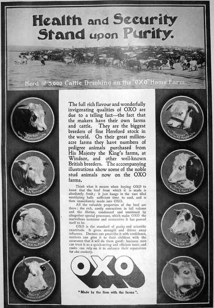 Oxo Health And Purity advert A4 Photo Print
