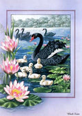 P Australian Birds Cal2003 08 A4 Photo Print