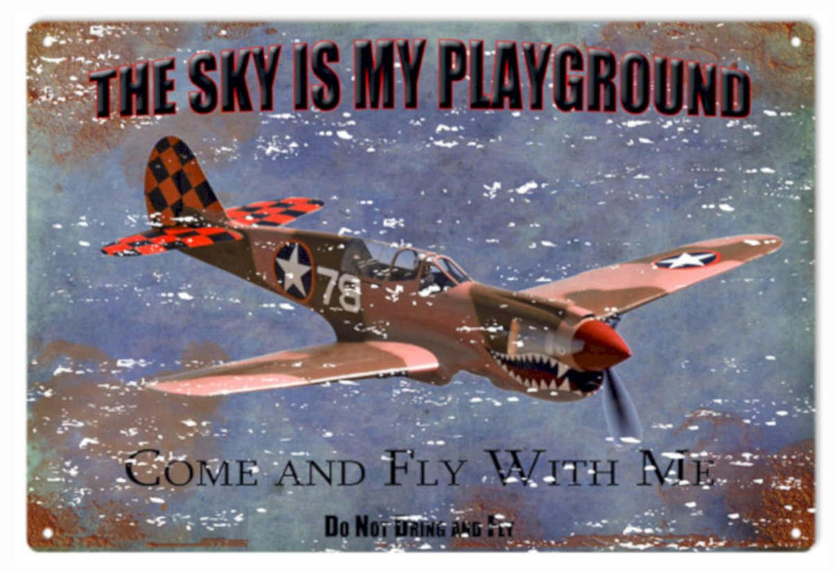 P51d Mustang Sky Vintage Retro Advert Ads A4 Photo Print