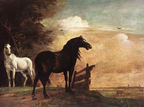 POTTER Paulus Horses In A Field A4 Photo Print