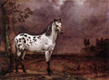 POTTER Paulus The Spotted Horse A4 Photo Print