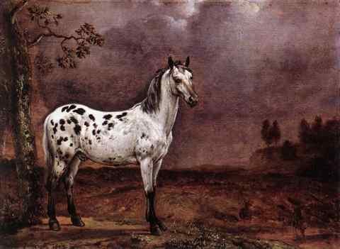 POTTER Paulus The Spotted Horse A4 Photo Print