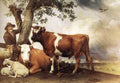 POTTER Paulus Young Bull A4 Photo Print
