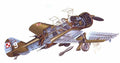 PZL.23 Karas cutaway A4 Photo Print