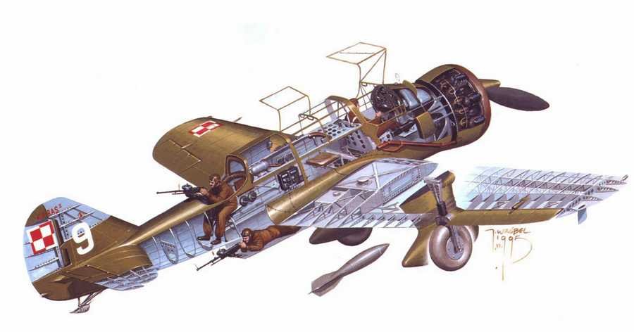 PZL.23 Karas cutaway A4 Photo Print