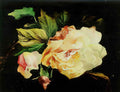 Pablo Picasso rosas Art A4 Photo Print