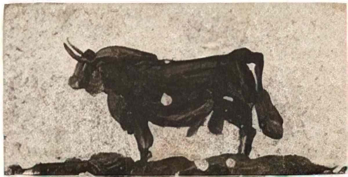 Pablo Picasso taureau Art A4 Photo Print