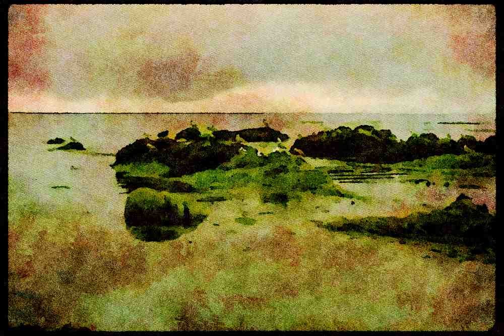 Pacific Coastlines 117015 Gulls & Pelicans On Rocks, Monterey, CA A4 Limited Edition Watercolour Print
