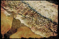 Pacific Coastlines 117030 Stream & Pacific, Near Big Sur, CA A4 Limited Edition Watercolour Print