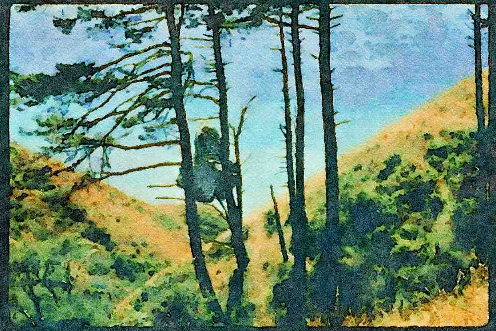 Pacific Coastlines 117055 Rocks Below Dark Gulch, Sinkyone Wilderness Park, CA A4 Limited Edition Watercolour Print