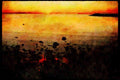 Pacific Coastlines 117069 San Francisco Bay, From Berkeley, CA Shore A4 Limited Edition Watercolour Print