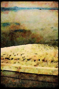 Pacific Coastlines 117075 From Deck Of Alaska Ferry, Southeast Alaska A4 Limited Edition Watercolour Print