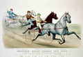 Pacing For Purse Horse 001 Vintage A4 Photo Print