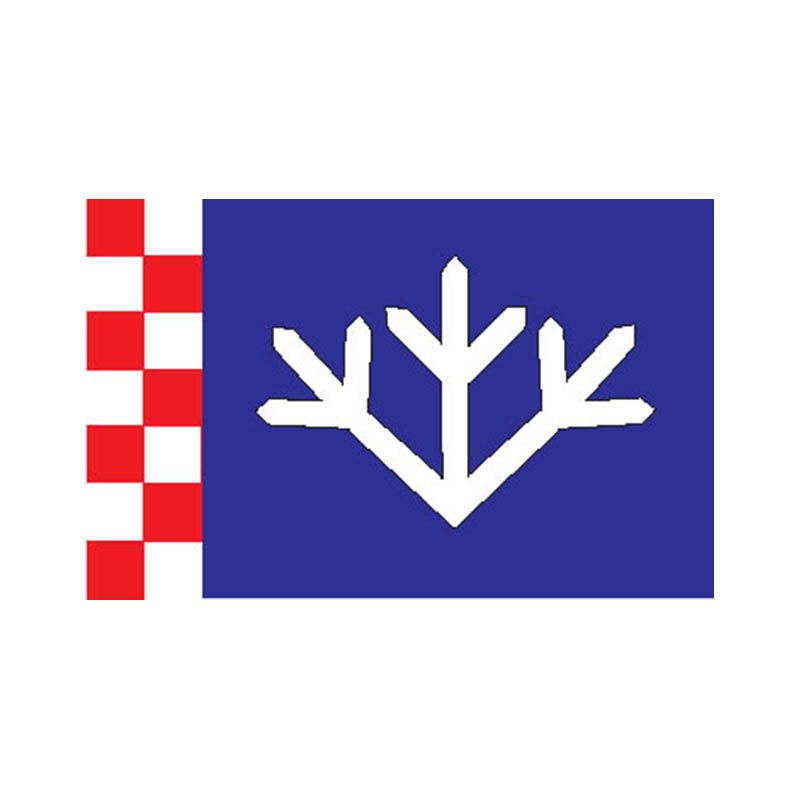 Padise Vald Flag N2866 A4 Photo Print