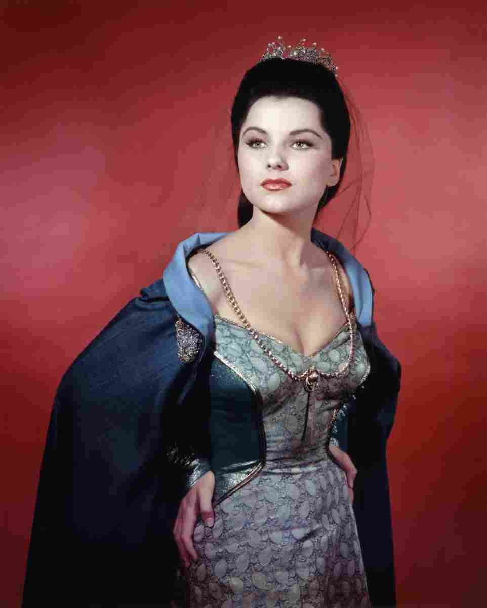 Paget Debra Prince Valiant 1 film star poster A4 Photo Print