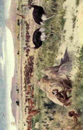 Paget Walter 1910 A South African plain A4 Photo Print