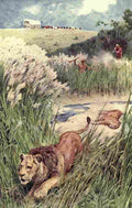 Paget Walter 1910 Boers shooting a lion & lioness A4 Photo Print