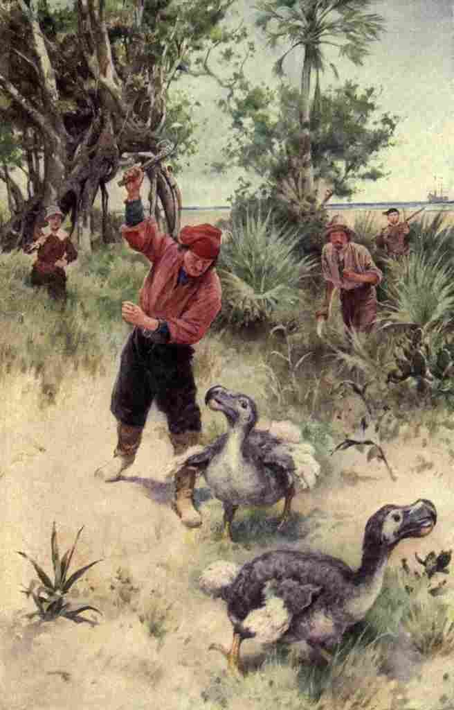 Paget Walter 1910 Dutch soldiers pursuing Dodos A4 Photo Print