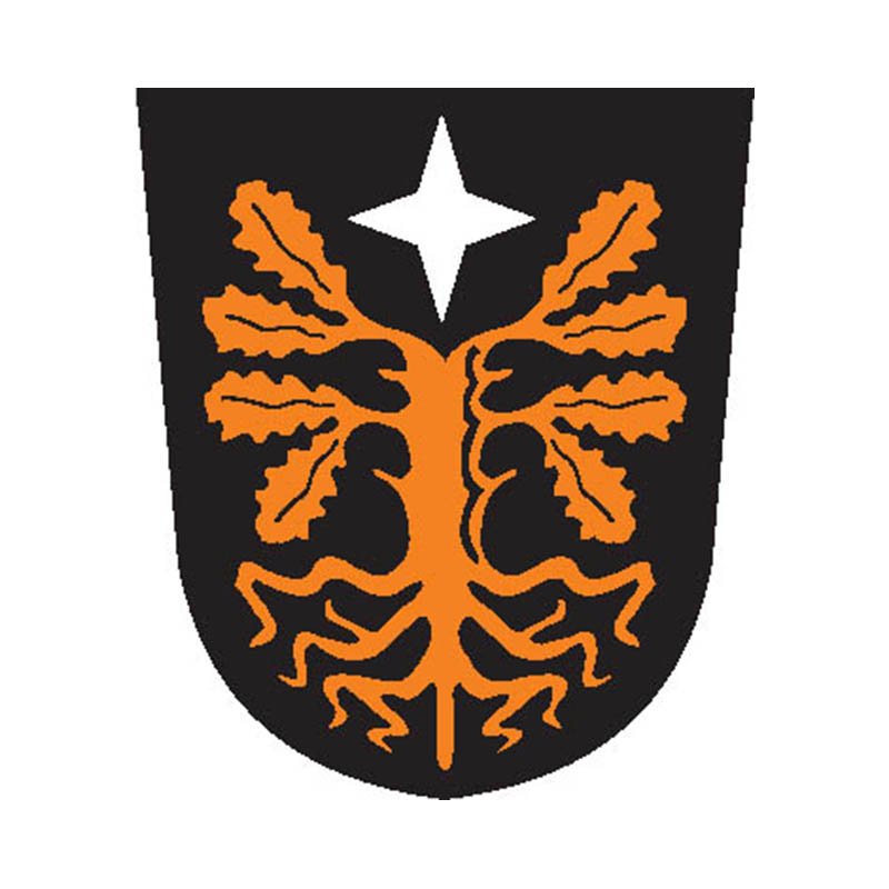 Paistu Vald Coat Of Arms N2441 A4 Photo Print