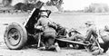 Pak 35 36 3 A4 Photo Print
