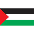 Palestine Flag N1719 A4 Photo Print