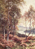 Palmer Harold Sutton 1854 1933 Bonnie Scotland 1912 Birches by Loch Achray Perthshire Vintage A4 Photo Print