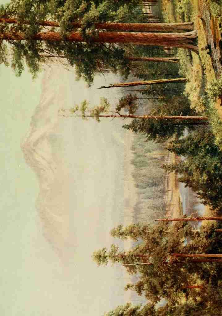 Palmer Harold Sutton 1854 1933 California 1914 Shasta Vintage A4 Photo Print