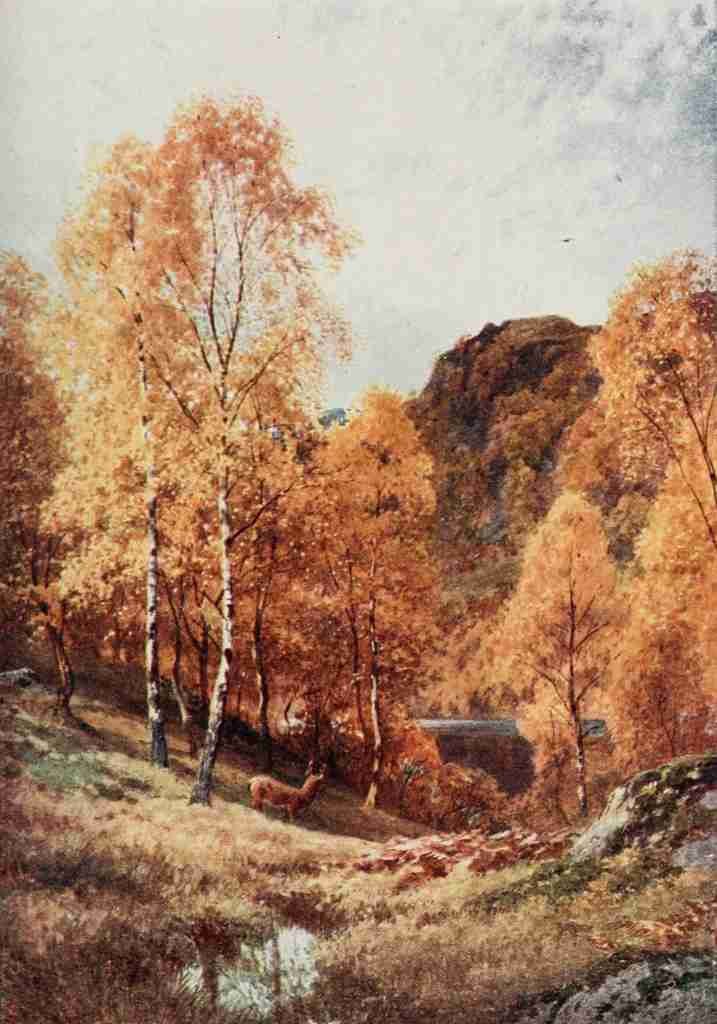 Palmer Harold Sutton 1854 1933 Scotland 1915 Loch Katrine The Trossachs Vintage A4 Photo Print