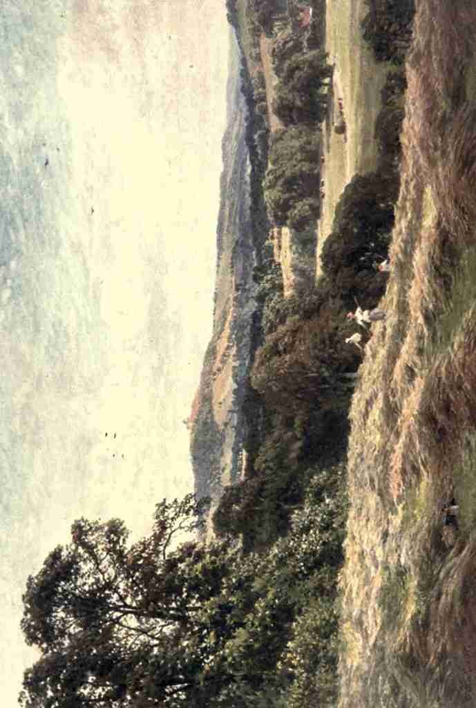 Palmer Harold Sutton 1854 1933 Surrey 1906 A Hayfield Wonersh Vintage A4 Photo Print
