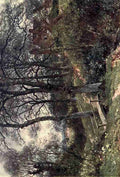 Palmer Harold Sutton 1854 1933 Surrey 1906 A path to the village Ockley Vintage A4 Photo Print