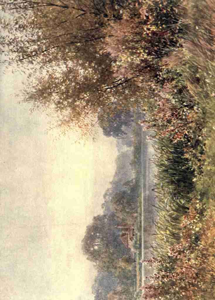 Palmer Harold Sutton 1854 1933 Surrey 1906 Autumn weeds Chilworth A4 Photo Print