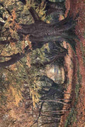 Palmer Harold Sutton 1854 1933 Surrey 1906 Beeches in autumn near Godalming A4 Photo Print