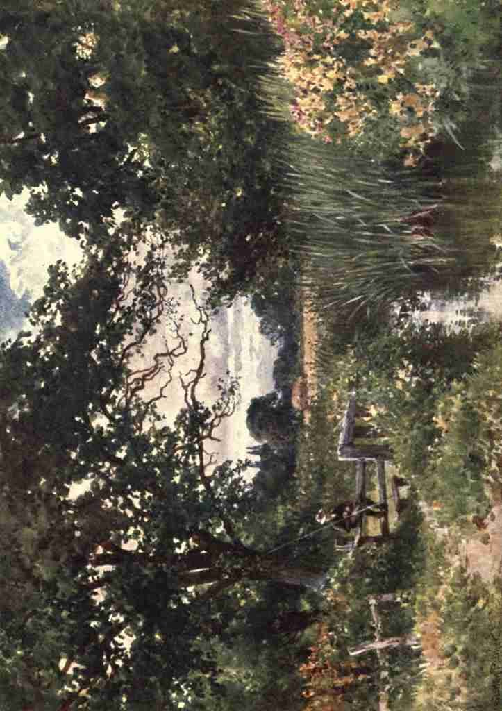 Palmer Harold Sutton 1854 1933 Surrey 1906 Near Chobham Vintage A4 Photo Print