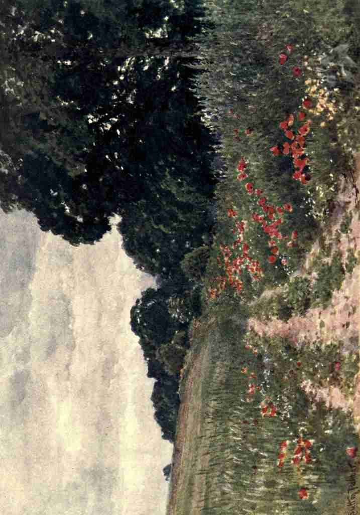 Palmer Harold Sutton 1854 1933 Surrey 1906 Poppies Vintage A4 Photo Print