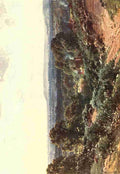 Palmer Harold Sutton 1854 1933 Surrey 1906 Sandhills looking towards Blackdown A4 Photo Print