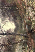 Palmer Harold Sutton 1854 1933 Surrey 1906 Spring Blossoms near Dorking A4 Photo Print