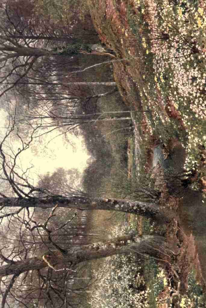 Palmer Harold Sutton 1854 1933 Surrey 1906 Spring Blossoms near Dorking A4 Photo Print