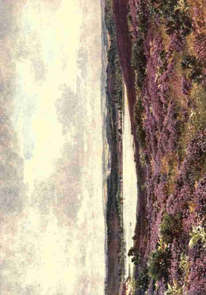 Palmer Harold Sutton 1854 1933 Surrey 1906 The Great Pond Frensham A4 Photo Print
