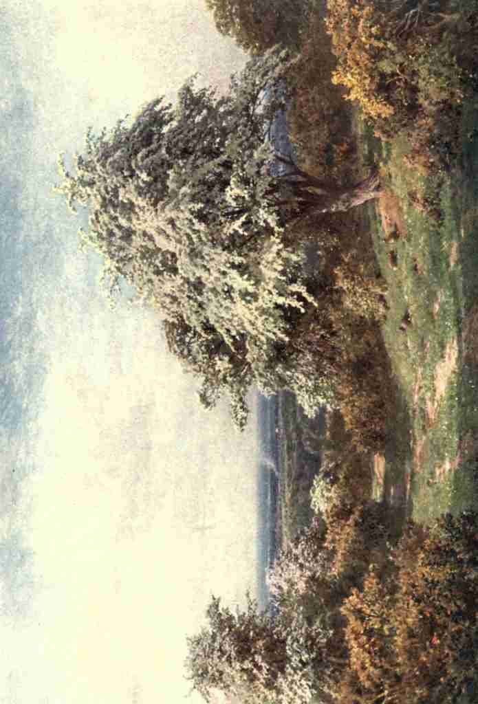 Palmer Harold Sutton 1854 1933 Surrey 1906 The Pride of Spring Newlands Corner A4 Photo Print
