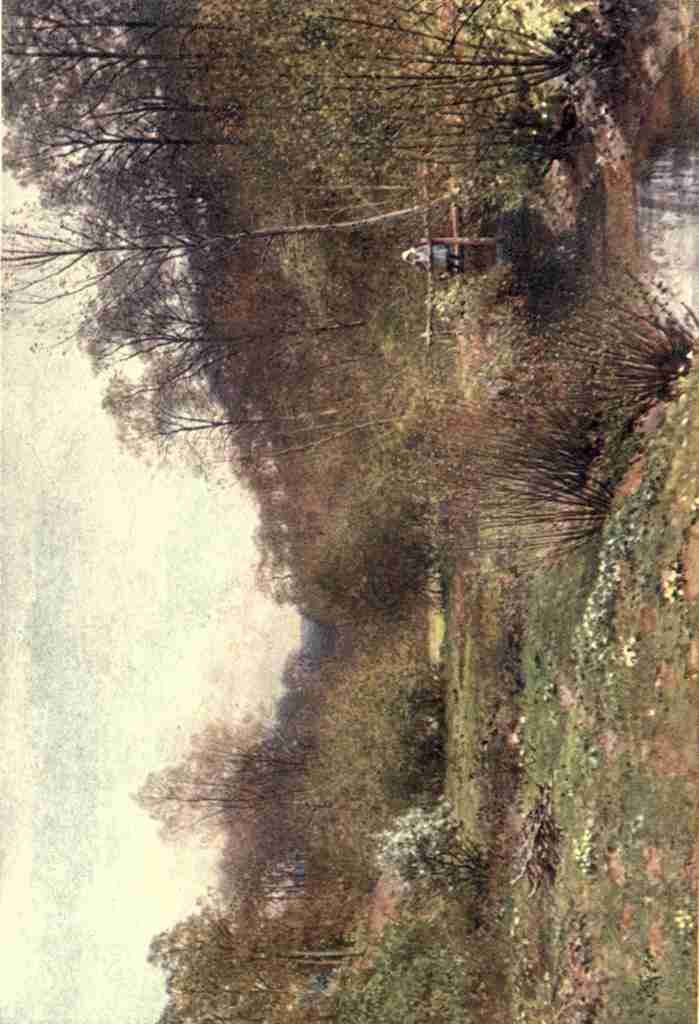 Palmer Harold Sutton 1854 1933 Surrey 1906 The budding year Ockley A4 Photo Print
