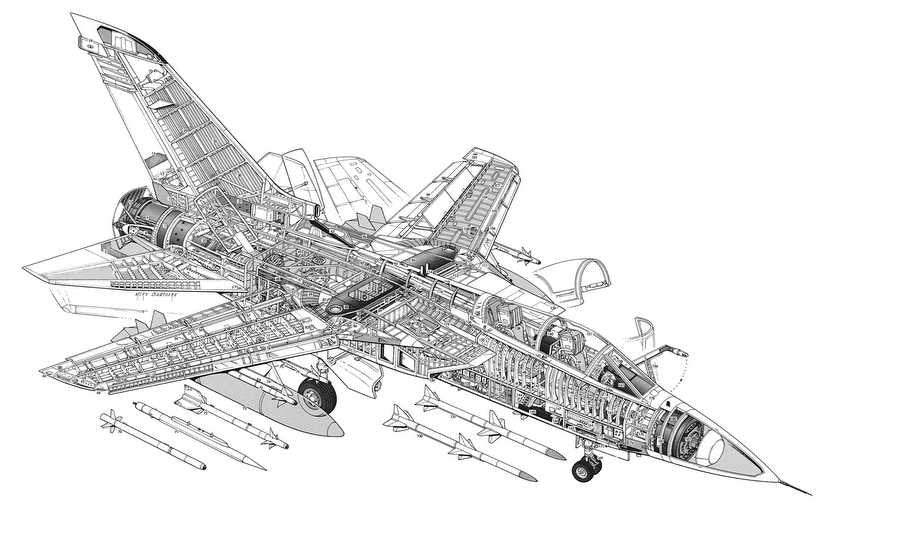 Panavia Tornado ADV 1 cutaway A4 Photo Print