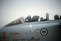 Panavia Tornado Adv 9 A4 Photo Print