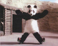 Panda Roller Skates 1980s Vintage Retro Advert
