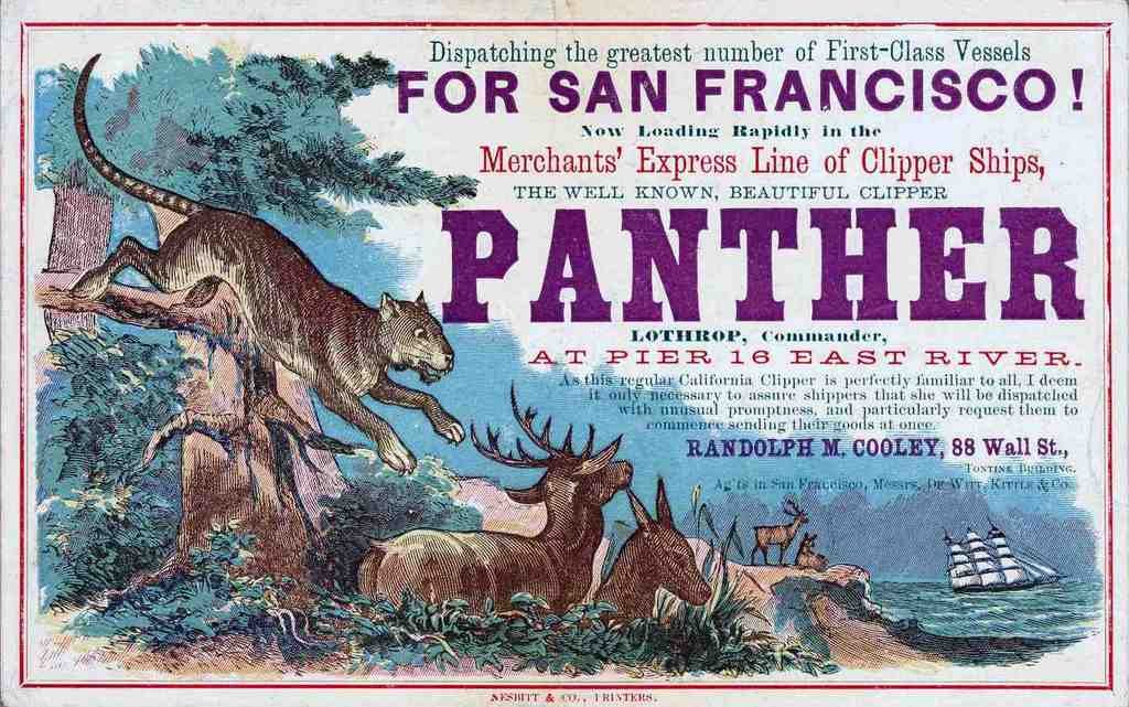 Panther Clipper Advert Vintage A4 Photo Print