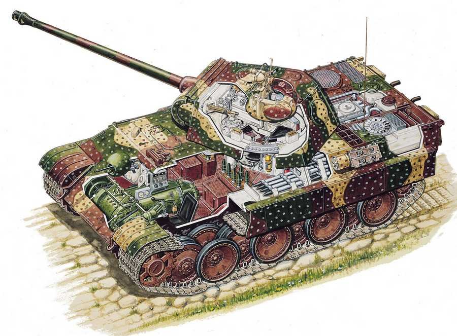 Panther tank cutaway A4 Photo Print